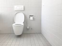 Knoblauch, das Geheimnis für eine saubere Toilette